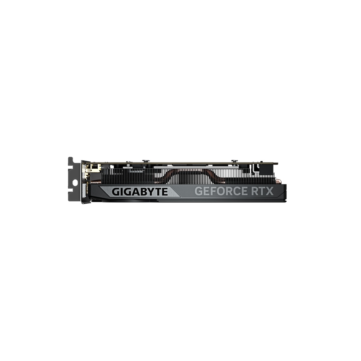 Bild von Gigabyte GeForce RTX 5060 OC Low Profile 8G Grafikkarte