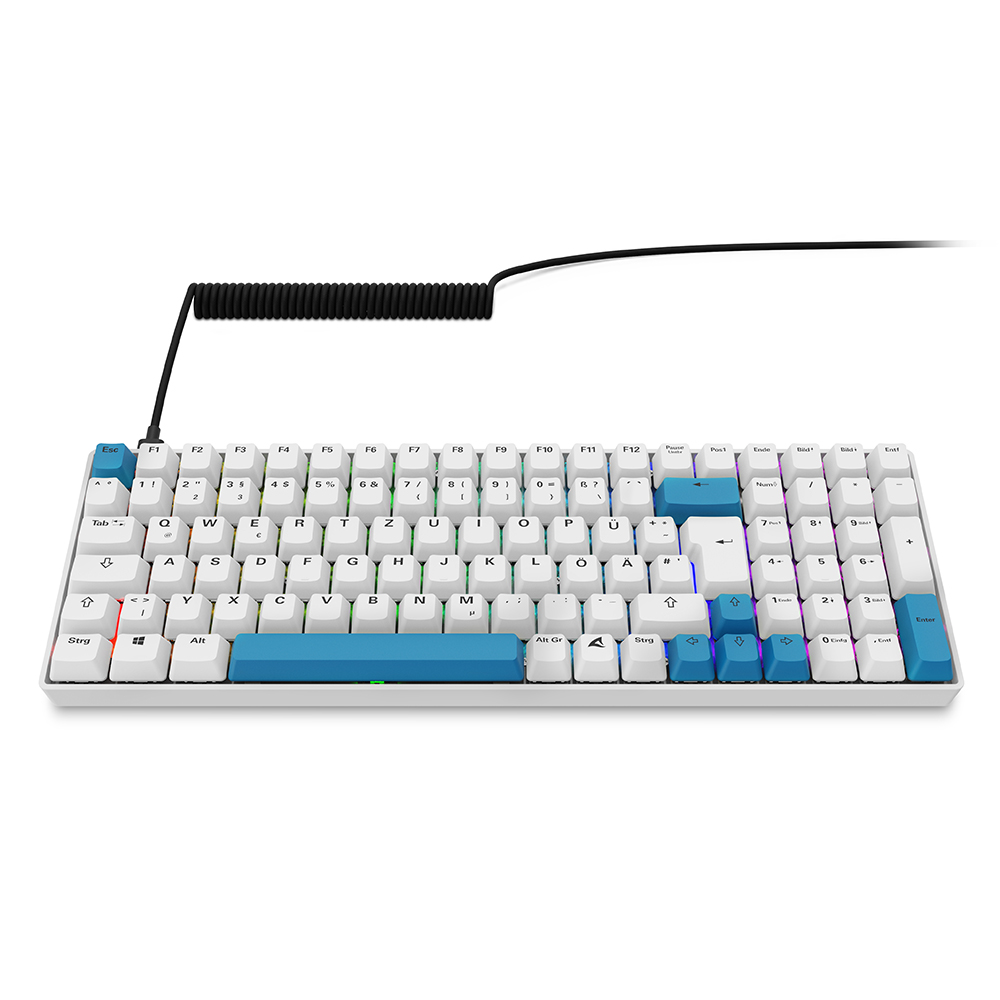 Bild von Sharkoon SKILLER SGK50 S2 PBT Gaming Tastatur