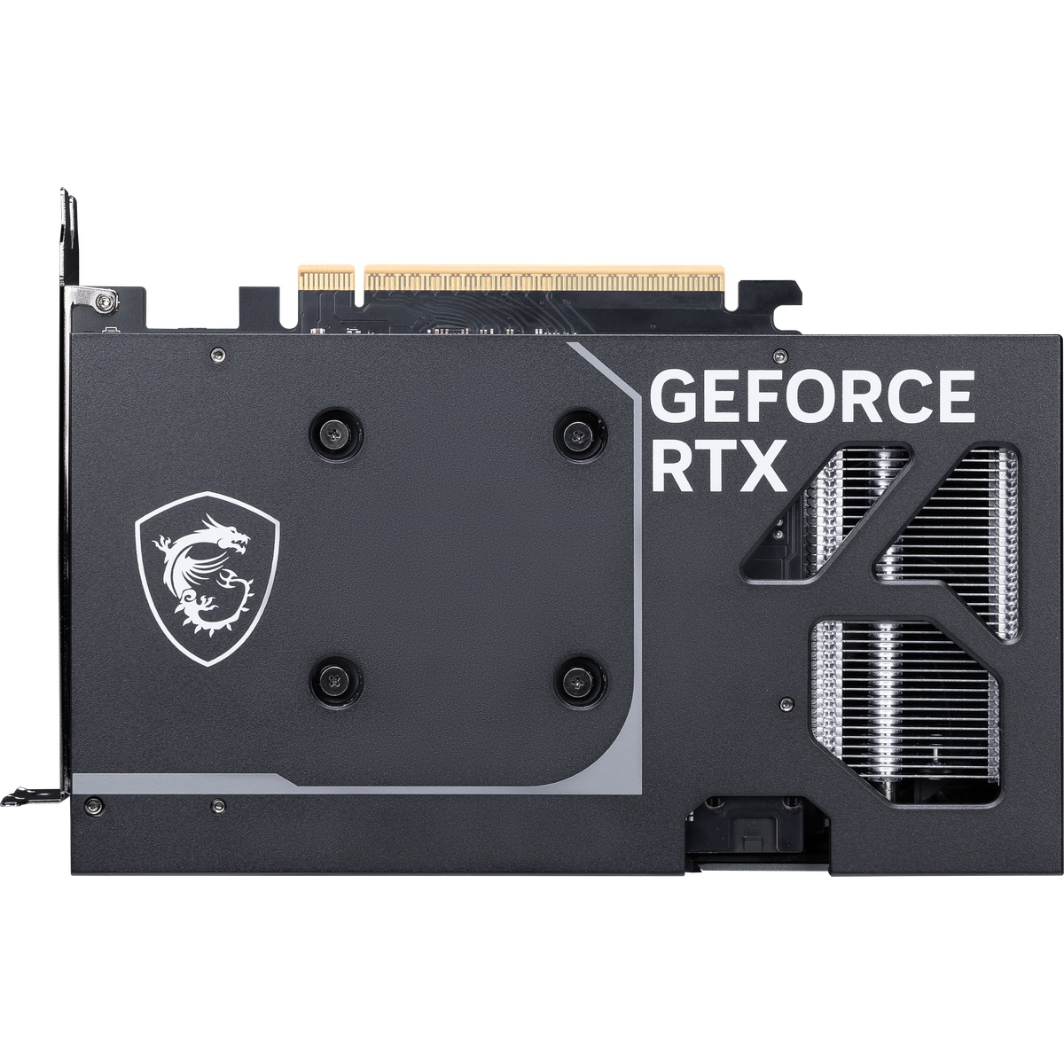 Bild von MSI GeForce RTX 5060 8G VENTUS 2X OC