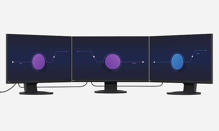 Eizo FlexScan EV2495-WT - IPS, Höhenverstellung, DisplayPort_4