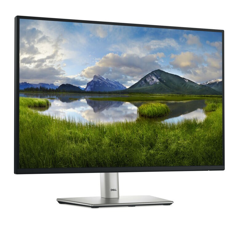DELL P2425 Office Monitor_1