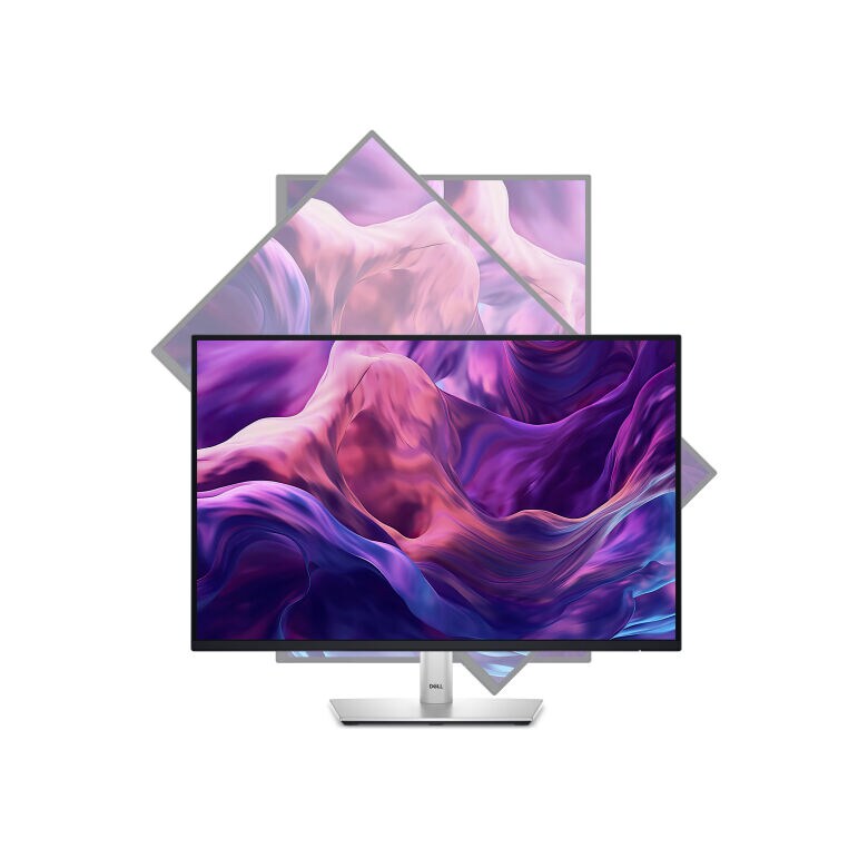 DELL P2425H Office Monitor_9