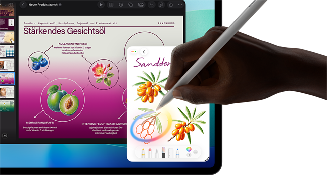 Apple iPad Pro 11 Wi-Fi 256GB Space Schwarz M5_2
