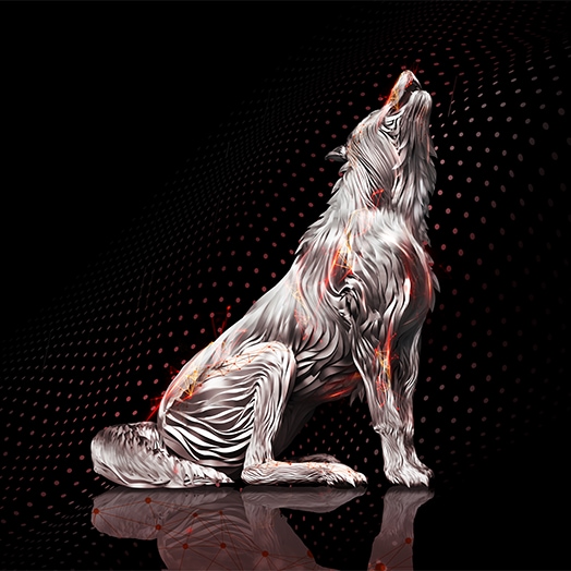 Seagate IronWolf Pro 24TB 3.5 Zoll SATA_1